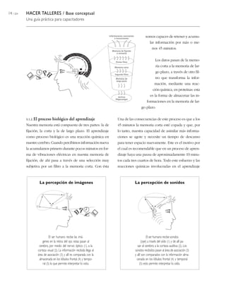 14 / 204 HACER TALLERES / Base conceptual
Una guía práctica para capacitadores
3.1.2. El proceso biológico del aprendizaje
Nuestra memoria está compuesta de tres partes: la de
fijación, la corta y la de largo plazo. El aprendizaje
como proceso biológico es una reacción química en
nuestro cerebro. Cuando percibimos información nueva
la acumulamos primero durante pocos minutos en for-
ma de vibraciones eléctricas en nuestra memoria de
fijación, de ahí pasa a través de una selección muy
subjetiva por un filtro a la memoria corta. Con ésta
somos capaces de retener y acumu-
lar información por más o me-
nos 45 minutos.
Los datos pasan de la memo-
ria corta a la memoria de lar-
go plazo, a través de otro fil-
tro que transforma la infor-
mación, mediante una reac-
ción química, en proteínas: esta
es la forma de almacenar las in-
formaciones en la memoria de lar-
go plazo.
Una de las consecuencias de este proceso es que a los
45 minutos la memoria corta esté copada y que, por
lo tanto, nuestra capacidad de asimilar más informa-
ciones se agote y necesite un tiempo de descanso
para tener espacio nuevamente. Este es el motivo por
el cual es recomendable que en un proceso de apren-
dizaje haya una pausa de aproximadamente 10 minu-
tos cada tres cuartos de hora. Todo este esfuerzo y las
reacciones químicas involucradas en el aprendizaje
El ser humano recibe sonidos
(oye) a través del oído (1) y de allí pa-
san al cerebro, a la corteza auditiva (2). Los
sonidos recibidos pasan al área de asociación (3)
y allí son comparados con la información alma-
cenada en los lóbulos frontal (4) y temporal
(5): esto permite interpretar lo oído.
La percepción de imágenes La percepción de sonidos
El ser humano recibe las imá-
genes en la retina del ojo; estas pasan al
cerebro, por medio del nervio óptico (1), a la
corteza visual (2). La información recibida llega al
área de asociación (3) y allí es comparada con la
almacenada en los lóbulos frontal (4) y tempo-
ral (5) lo que permite interpretar lo visto.
 