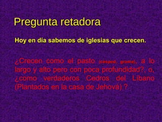 Pregunta retadoraPregunta retadora
Hoy en día sabemos de iglesias que crecen.Hoy en día sabemos de iglesias que crecen.
¿Crecen como el pasto (césped, grama)(césped, grama), a lo
largo y alto pero con poca profundidad?, o,
¿como verdaderos Cedros del Líbano
(Plantados en la casa de Jehová) ?
 
