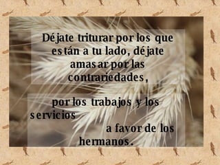Déjate triturar por los que están a tu lado, déjate amasar por las contrariedades, por los trabajos y los servicios a favor de los hermanos.