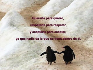 Quererte para querer, respetarte para respetar, y aceptarte para aceptar, ya que nadie da lo que no tiene dentro de sí. 
