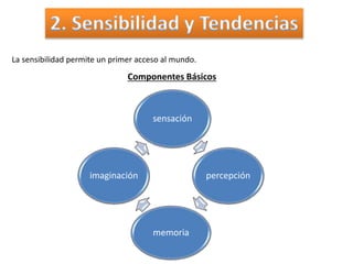 La sensibilidad permite un primer acceso al mundo.
Componentes Básicos
sensación
percepción
memoria
imaginación
 