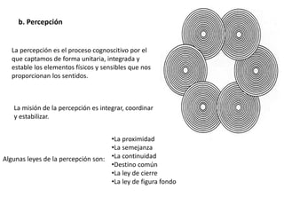 b. Percepción
La percepción es el proceso cognoscitivo por el
que captamos de forma unitaria, integrada y
estable los elementos físicos y sensibles que nos
proporcionan los sentidos.
La misión de la percepción es integrar, coordinar
y estabilizar.
Algunas leyes de la percepción son:
•La proximidad
•La semejanza
•La continuidad
•Destino común
•La ley de cierre
•La ley de figura fondo
 