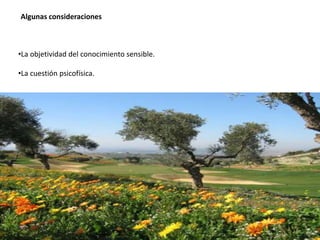 Algunas consideraciones
•La objetividad del conocimiento sensible.
•La cuestión psicofísica.
 