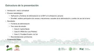 Estructura de la presentación
• Introducción: marco conceptual
• Proceso metodológico
• Tipificación y fronteras de deforestación en el BHT en la Amazonía peruana
• DriveNet: análisis participativo de causas y mecanismos causales de la deforestación y cambio de uso de la tierra
• Resultados
• Fronteras de deforestación
• Tres casos de estudio
• Caso A: Iquitos-Nauta
• Caso B: IIRSA Sur (Las Piedras)
• Caso C: Pucallpa-Cruzeiro do Sul
• Recomendaciones promisorias
• Comentarios finales
 