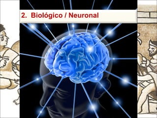 2.  Biológico / Neuronal 