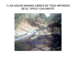 Y LAS AGUAS MANSAS LIBRES DE TODA IMPUREZA DE EL TIPICO “CHILAMATE”
