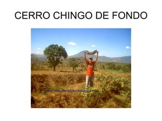 CERRO CHINGO DE FONDO 
