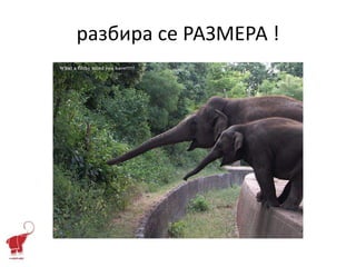 разбира се РАЗМЕРА !
 