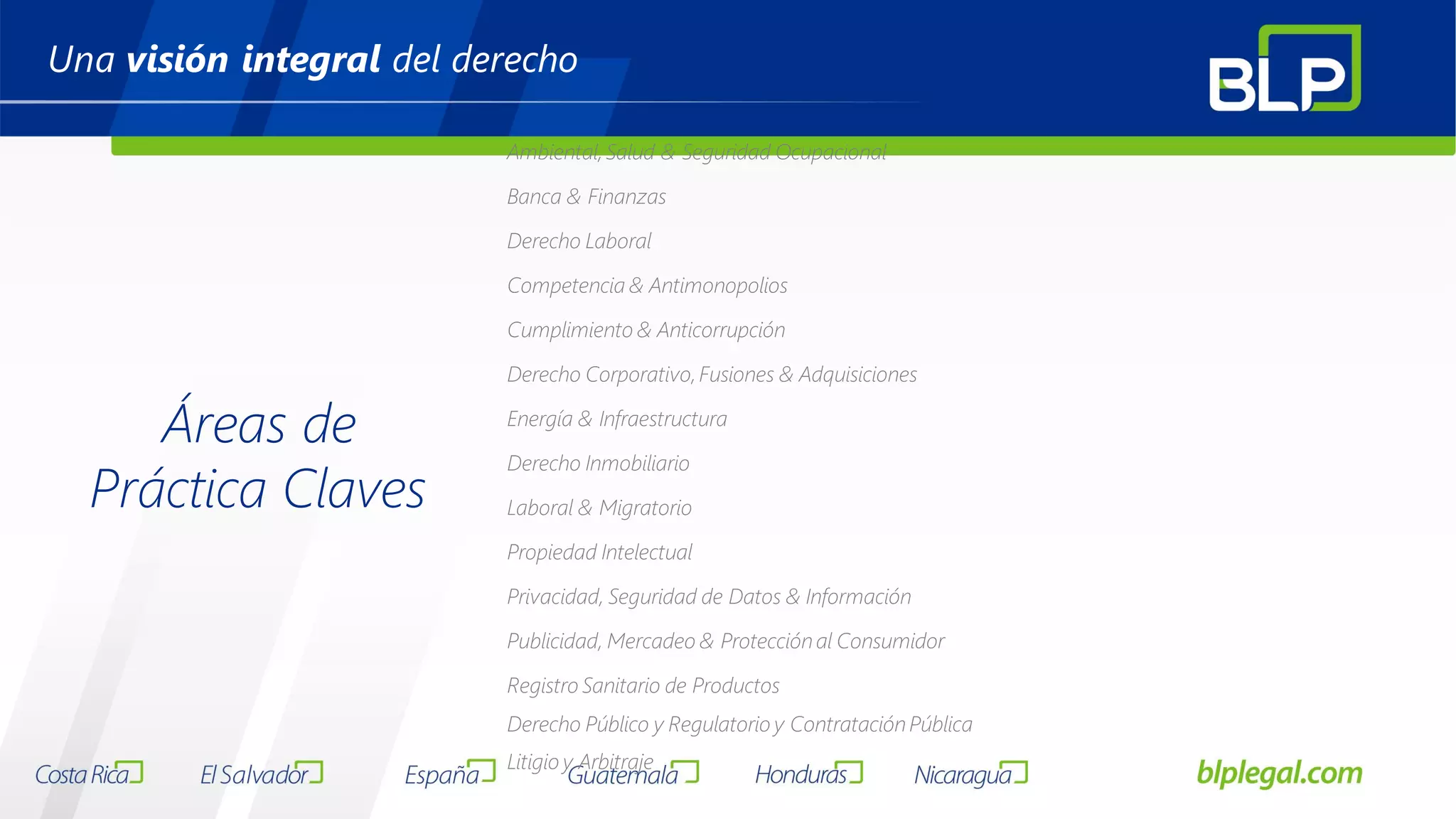 Slide 8