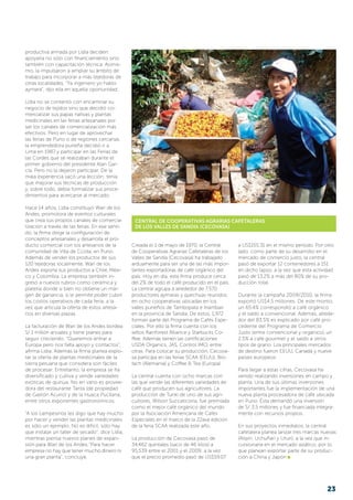 Central de Cooperativas Agrarias Cafetaleras
de los Valles de Sandia (Cecovasa)
Creada el 1 de mayo de 1970, la Central
de Cooperativas Agrarias Cafetaleras de los
Valles de Sandia (Cecovasa) ha trabajado
arduamente para ser una de las más impor-
tantes exportadoras de café orgánico del
país. Hoy en día, esta firma produce cerca
del 2% de todo el café producido en el país.
La central agrupa a alrededor de 7,570
productores aymaras y quechuas reunidos
en ocho cooperativas ubicadas en los
valles puneños de Tambopata e Inambari
en la provincia de Sandia. De estos, 1,972
forman parte del Programa de Cafés Espe-
ciales. Por ello la firma cuenta con los
sellos Rainforest Alliance y Starbucks Co-
ffee. Además tienen las certificaciones
USDA Organics, JAS, Control IMO, entre
otras. Para colocar su producción, Cecova-
sa participa en las ferias SCAA (EEUU), Bio-
fach (Alemania) y Coffee & Tea (Europa).
La central cuenta con ocho marcas con
las que vende las diferentes variedades de
café que producen sus agricultores. La
producción de Tunki de uno de sus agri-
cultores, Wilson Succaticona, fue premiada
como el mejor café orgánico del mundo
por la Asociación Americana de Cafés
Especiales en el marco de la 22ava edición
de la feria SCAA realizada este año.
La producción de Cecovasa pasó de
34,462 quintales (saco de 46 kilos) a
95,539 entre el 2001 y el 2009; a la vez
que el precio promedio pasó de US$59.07
a US$155.31 en el mismo período. Por otro
lado, como parte de su desarrollo en el
mercado de comercio justo, la central
pasó de exportar 12 contenedores a 151
en dicho lapso, a la vez que esta actividad
pasó de 13.2% a más del 80% de su pro-
ducción total.
Durante la campaña 2009/2010, la firma
exportó US$4.5 millones. De este monto,
un 65.4% correspondió a café orgánico
y el saldo a convencional. Además, alrede-
dor del 83.5% es explicado por café pro-
cedente del Programa de Comercio
Justo (entre convencional y orgánico), un
2.5% a café gourmet y el saldo a otros
tipos de grano. Los principales mercados
de destino fueron EEUU, Canadá y nueve
países europeos.
Para llegar a estas cifras, Cecovasa ha
venido realizando inversiones en campo y
planta. Una de sus últimas inversiones
importantes fue la implementación de una
nueva planta procesadora de café ubicada
en Puno. Ésta demandó una inversión
de S/. 3.5 millones y fue financiada íntegra-
mente con recursos propios.
En sus proyectos inmediatos, la central
cafetalera planea lanzar tres marcas nuevas
(Atipiri, Uchuñari y Ururi), a la vez que in-
cursionaría en el mercado asiático, por lo
que planean exportar parte de su produc-
ción a China y Japón
productiva armada por Lidia deciden
apoyarla no sólo con financiamiento sino
también con capacitación técnica. Asimis-
mo, la impulsaron a ampliar su ámbito de
trabajo para incorporar a más tejedoras de
otras localidades. “Ya ingeniero yo hablo
aymara”, dijo ella en aquella oportunidad.
Lidia no se contentó con encaminar su
negocio de tejidos sino que decidió co-
mercializar sus papas nativas y plantas
medicinales en las ferias artesanales por
ser los canales de comercialización más
efectivos. Pero en lugar de aprovechar
las ferias de Puno o de regiones cercanas,
la emprendedora puneña decidió ir a
Lima en 1987 y participar en las Ferias de
las Cordes que se realizaban durante el
primer gobierno del presidente Alan Gar-
cía. Pero no la dejaron participar. De la
mala experiencia sacó una lección: tenía
que mejorar sus técnicas de producción
y, sobre todo, debía formalizar sus proce­
dimientos para acercarse al mercado.
Hace 14 años, Lidia constituyó Wari de los
Andes, promotora de eventos culturales
que crea sus propios canales de comercia-
lización a través de las ferias. En ese senti-
do, la firma dirige la configuración de
conceptos artesanales y desarrolla el pro-
ducto comercial con los artesanos de la
comunidad de Villa de Ccota, en Puno.
Además de vender los productos de sus
120 tejedoras localmente, Wari de los
An­des exporta sus productos a Chile, Méxi-
co y Colombia. La empresa también in­
gresó a nuevos rubros como cerámica y
platería donde si bien no obtiene un mar-
gen de ganancia, si le permite poder cubrir
los costos operativos de cada feria, a la
vez que articula la oferta de estos artesa-
nos en diversas plazas.
La facturación de Wari de los Andes bordea
S/.1 millón anuales y tiene planes para
seguir creciendo. “Queremos entrar a
Europa pero nos falta apoyo y contactos”,
afirma Lidia. Además la firma planea explo-
tar la oferta de plantas medicinales de la
sierra peruana que considera son fáciles
de procesar. Entretanto, la empresa se ha
diversificado y cultiva y vende variedades
exóticas de quinua. No en vano es provee-
dora del restaurante Tanta (de propiedad
de Gastón Acurio) y de la Huaca Pucllana,
entre otros exponentes gastronómicos.
“A los campesinos les digo que hay mucho
por hacer y vender las plantas medicinales
es sólo un ejemplo. No es difícil, sólo hay
que instalar un taller de secado”, dice Lidia,
mientras piensa nuevos planes de expan-
sión para Wari de los Andes.“Para hacer
em­­presa no hay que tener mucho dinero ni
una gran planta”, concluye.
23
 