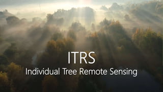 ITRS
Individual Tree Remote Sensing
 