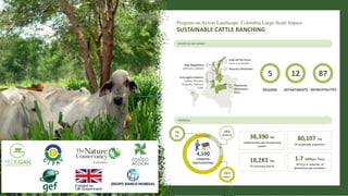 Progress on Action Landscape: Colombia Large-Scale Impact
SUSTAINABLE CATTLE RANCHING
5 12 87
REGIONS DEPARTMENTS MUNICIPA...