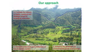 1. Increase productivity and profitability of
the production system
2. Enhance the generation of
environmental goods and s...