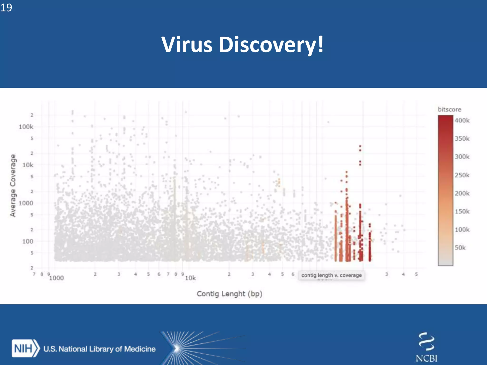 19
Virus Discovery!
 