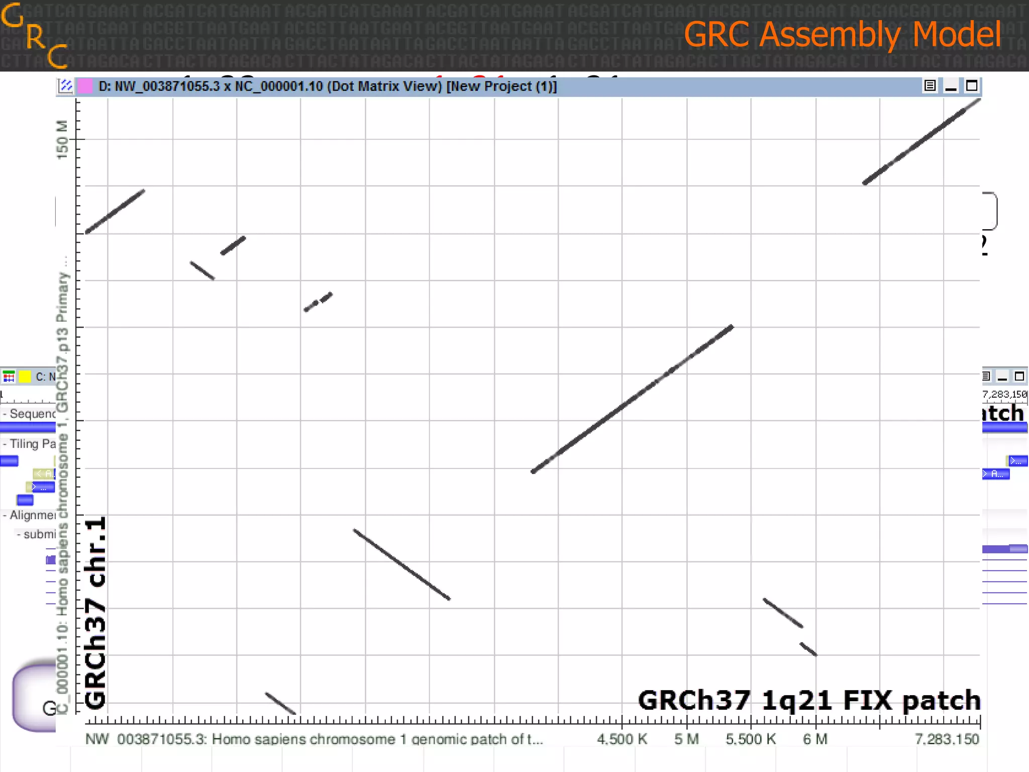 1q32 1q21 1p21
Dennis et al., 2012
GRC Assembly Model
 