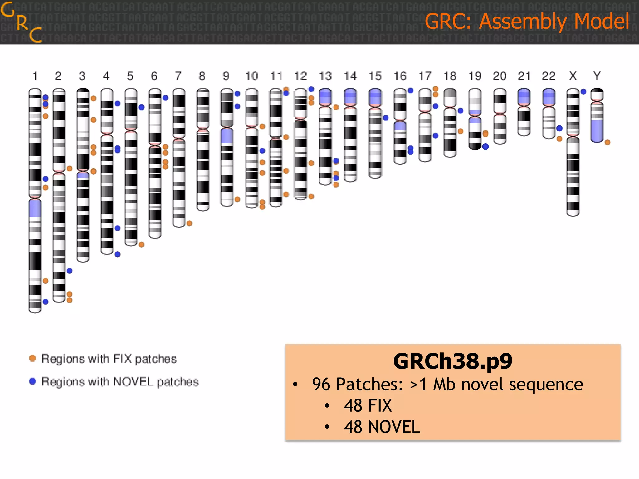 GRCh38.p9
• 96 Patches: >1 Mb novel sequence
• 48 FIX
• 48 NOVEL
GRC: Assembly Model
 