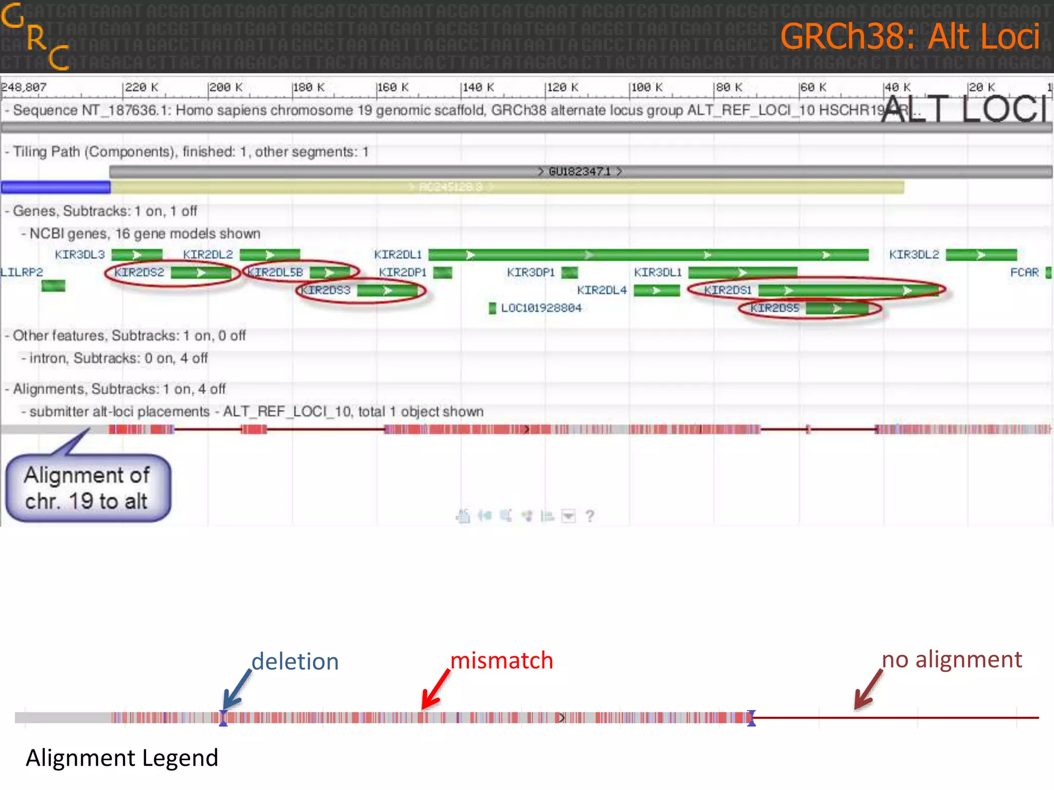 GRCh38: Alt Loci
Alignment Legend
no alignmentmismatchdeletion
 