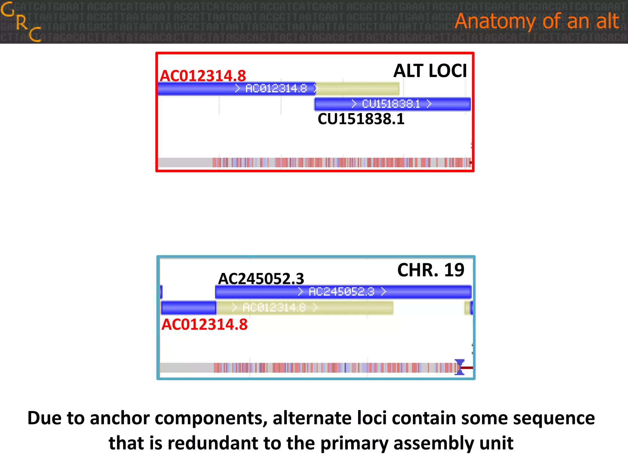Anatomy of an alt
AC012314.8
CU151838.1
ALT LOCI
AC012314.8
AC245052.3 CHR. 19
Due to anchor components, alternate loci contain some sequence
that is redundant to the primary assembly unit
 