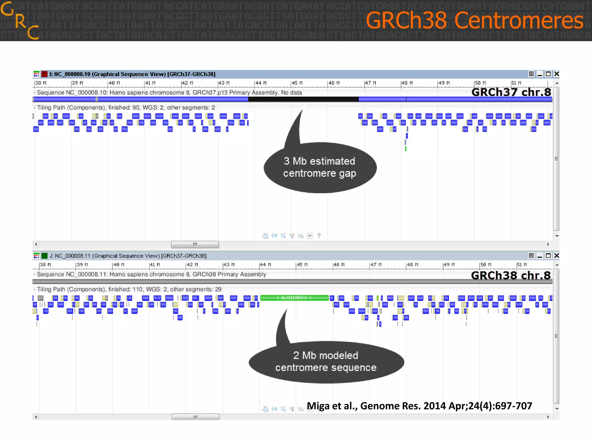 GRCh38 Centromeres
Miga et al., Genome Res. 2014 Apr;24(4):697-707
 