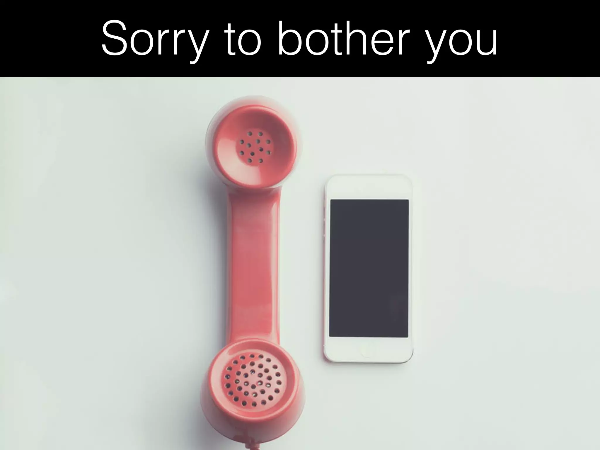 Sorry to bother you
 
