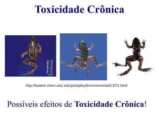 Toxicidade Crônica 
http://butane.chem.uiuc.edu/pshapley/Environmental/L37/1.html 
Possíveis efeitos de Toxicidade Crônica! 
 