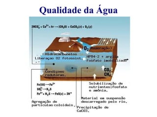 Qualidade da Água 
 