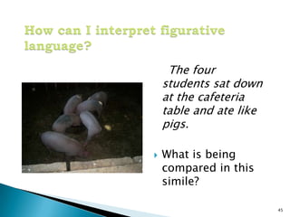 How can I interpret figurative language?The four students sat down at the cafeteria table and ate like pigs.What is being compared in this simile?45