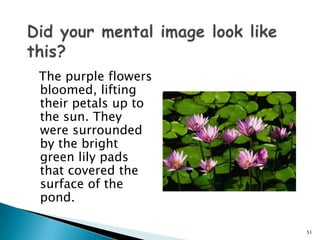 Did your mental image look like this?  The purple flowers bloomed, lifting their petals up to the sun. They were surrounded by the bright green lily pads that covered the surface of the pond.51