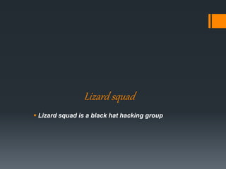 Lizard squad
 Lizard squad is a black hat hacking group
 
