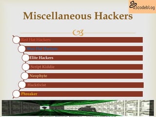 Red Hat Hackers
Blue Hat Hackers
Elite Hackers
Script Kiddie
Neophyte
Hacktivist
Phreaker
Miscellaneous Hackers
 