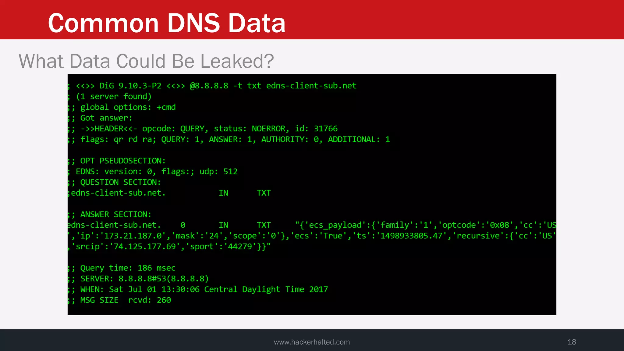 Common DNS Data
www.hackerhalted.com 18
What Data Could Be Leaked?
 