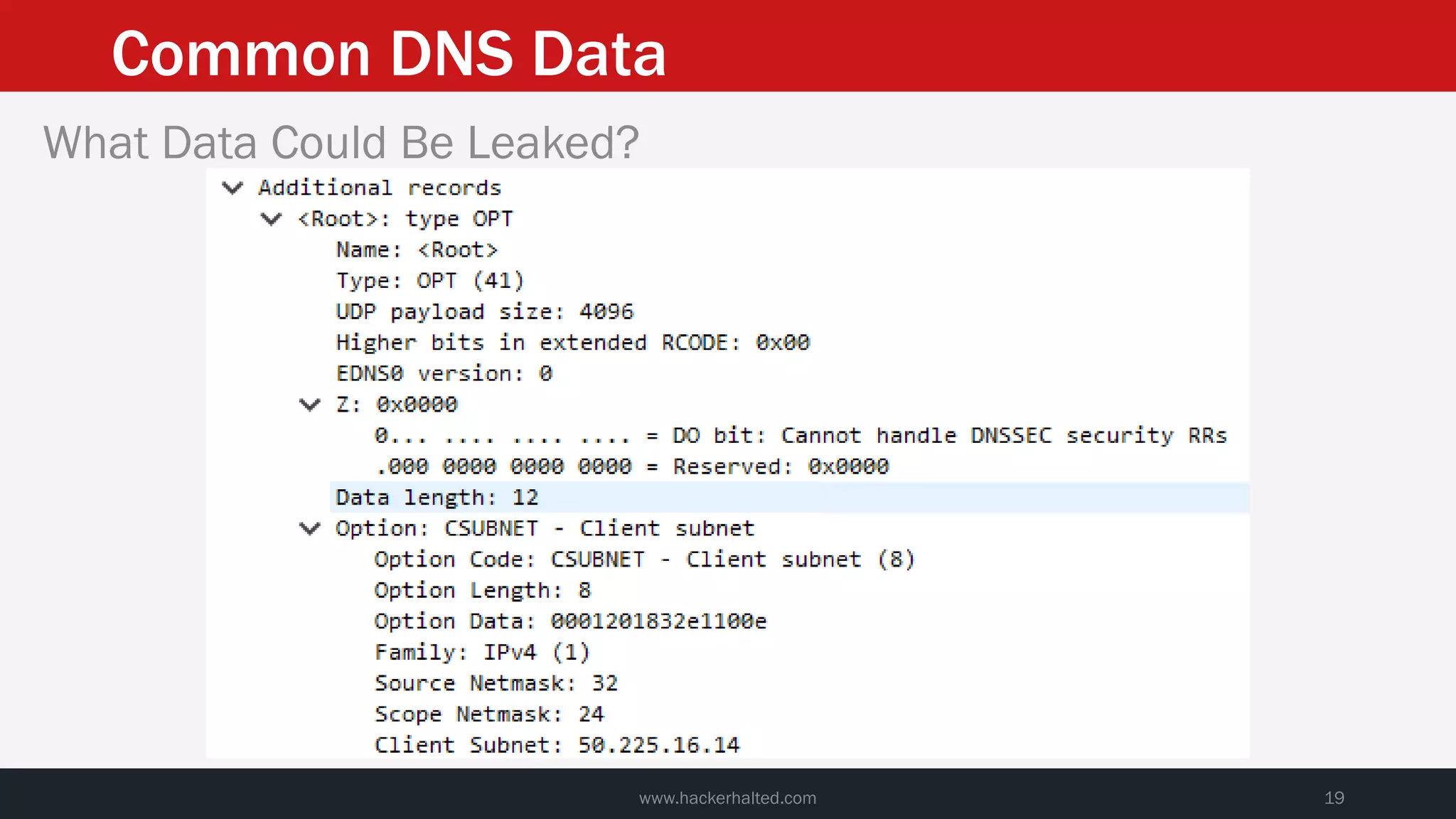 Common DNS Data
www.hackerhalted.com 19
What Data Could Be Leaked?
 