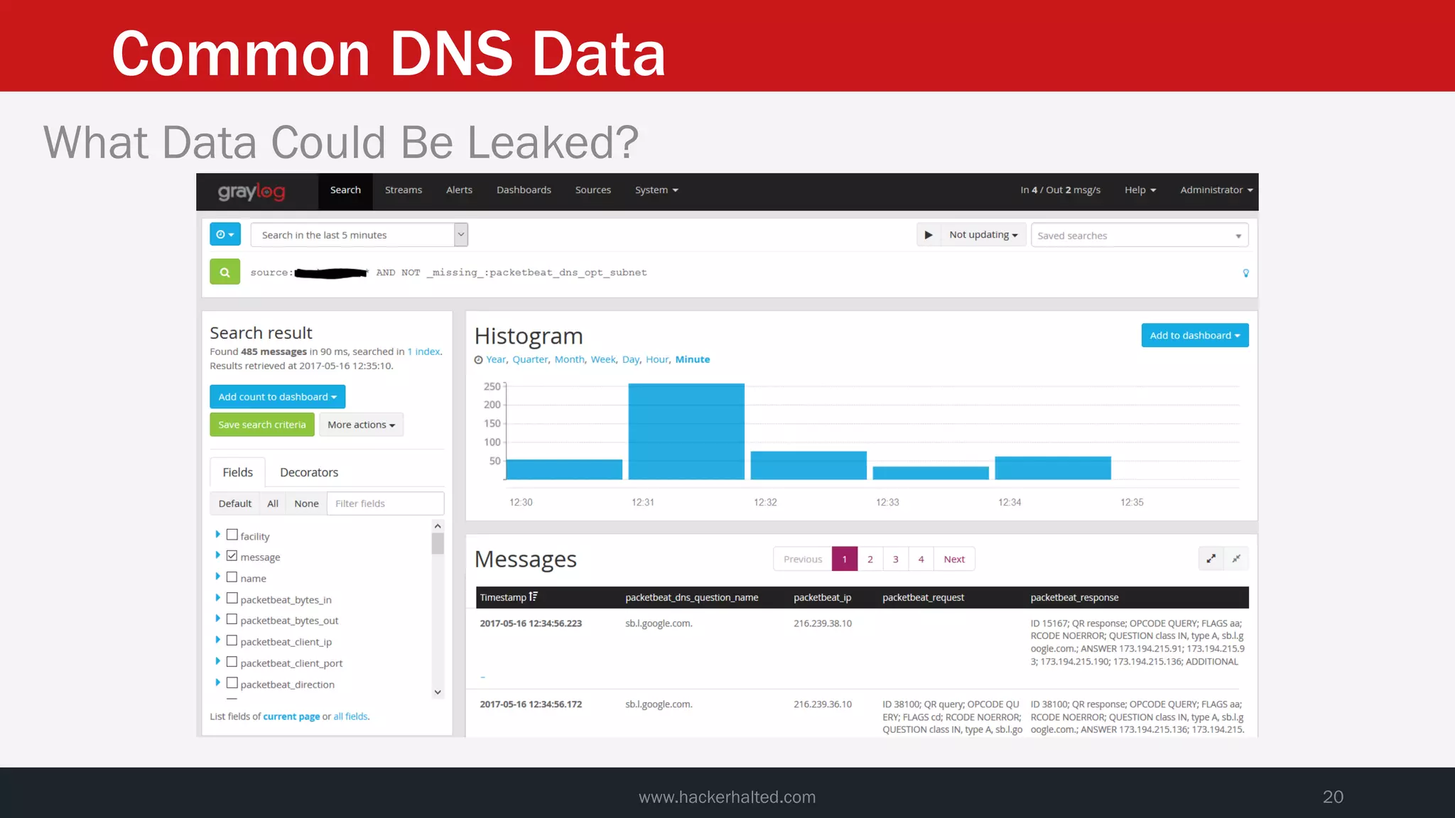 Common DNS Data
www.hackerhalted.com 20
What Data Could Be Leaked?
 