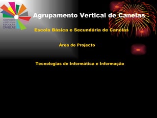Agrupamento Vertical de Canelas ,[object Object],Área de Projecto Tecnologias de Informática e Informação 