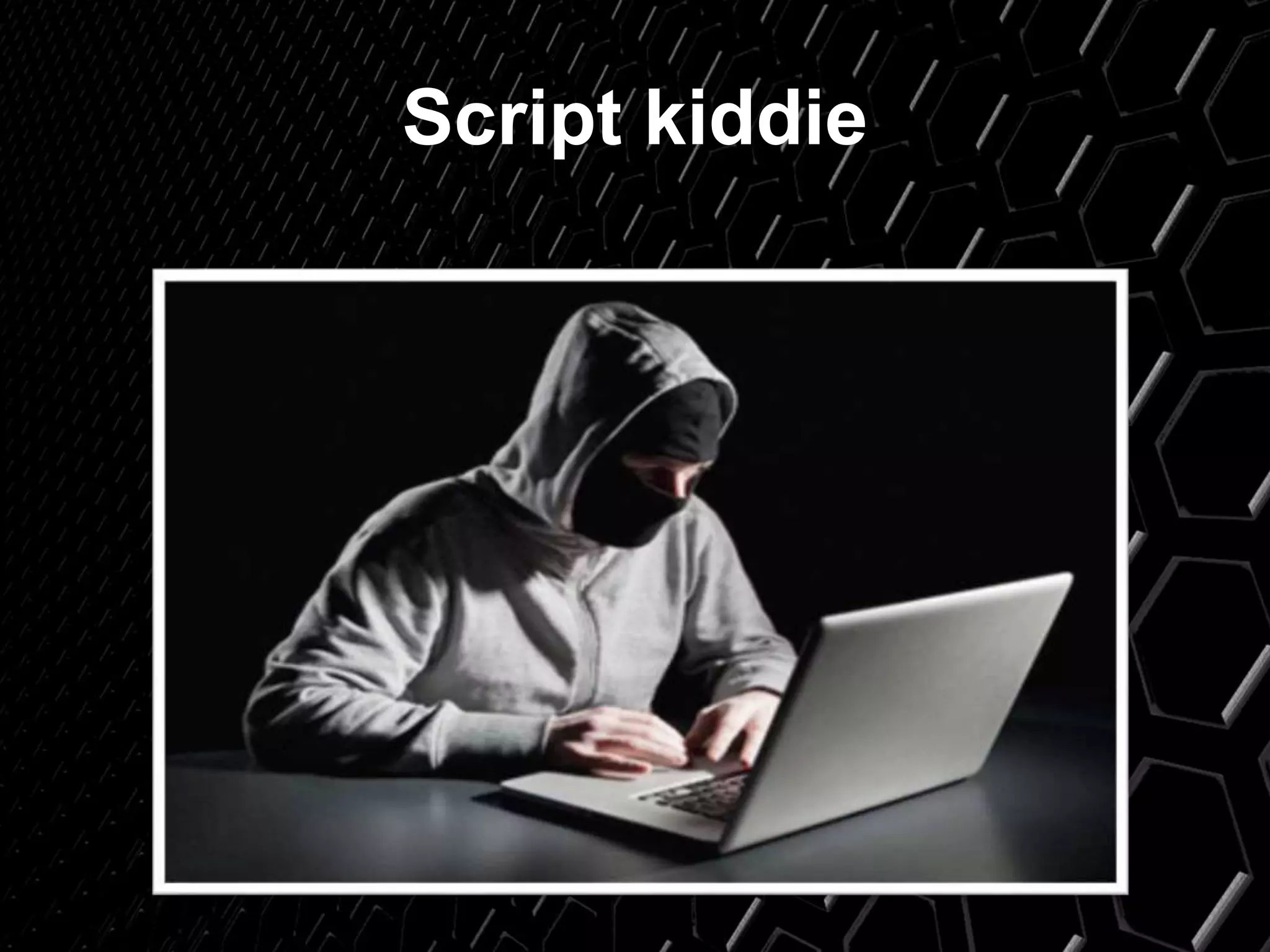 Script kiddie
 
