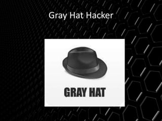 Gray Hat Hacker
 