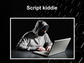 Script kiddie
 