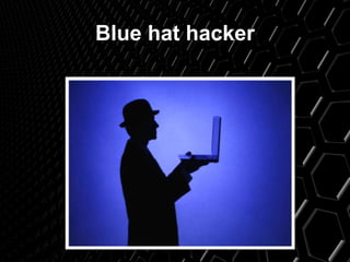 Blue hat hacker
 
