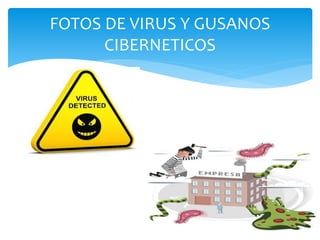 FOTOS DE VIRUS Y GUSANOS 
CIBERNETICOS 

