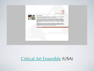 Critical Art Ensemble  (USA) 