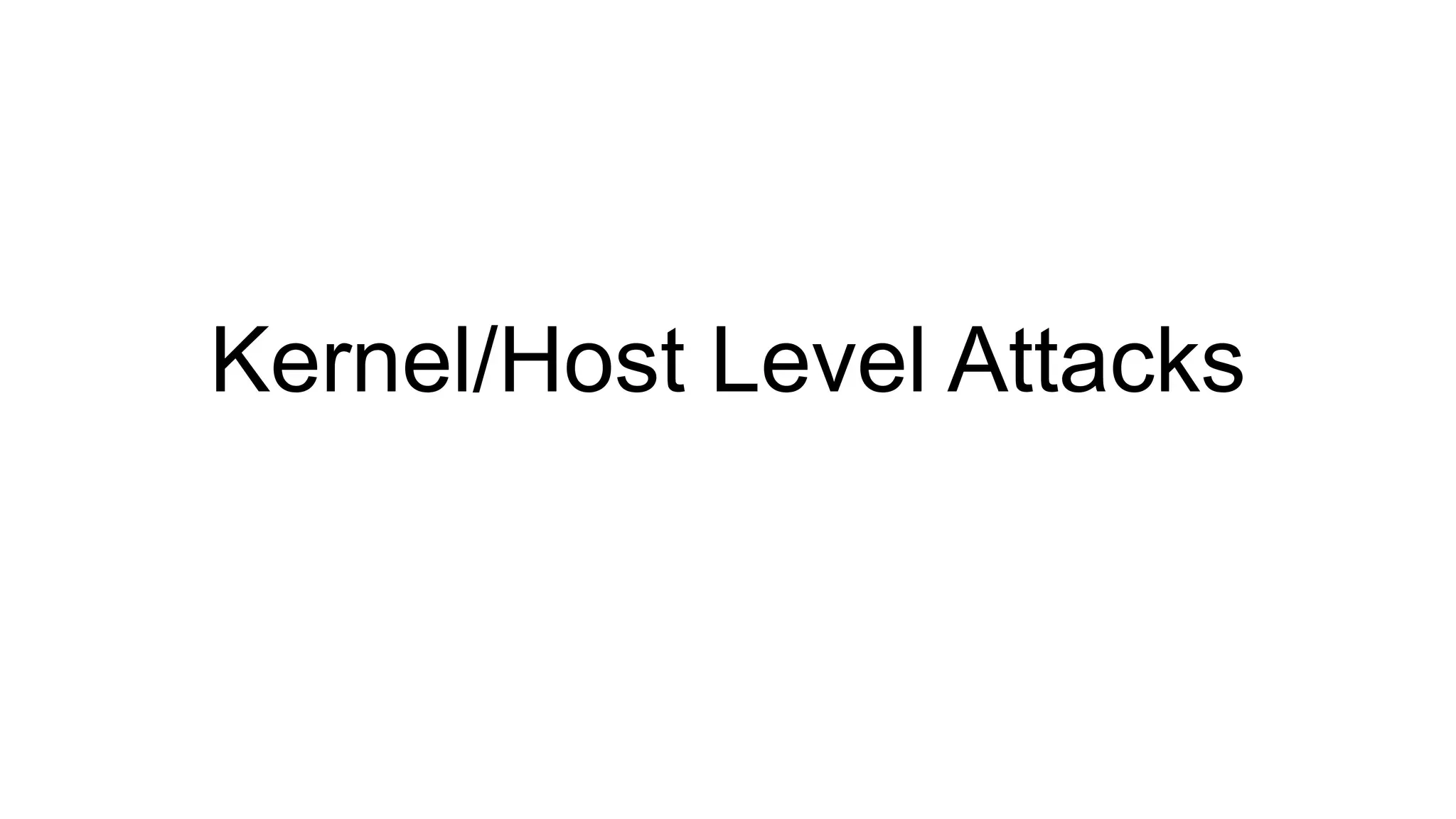 Kernel/Host Level Attacks
 