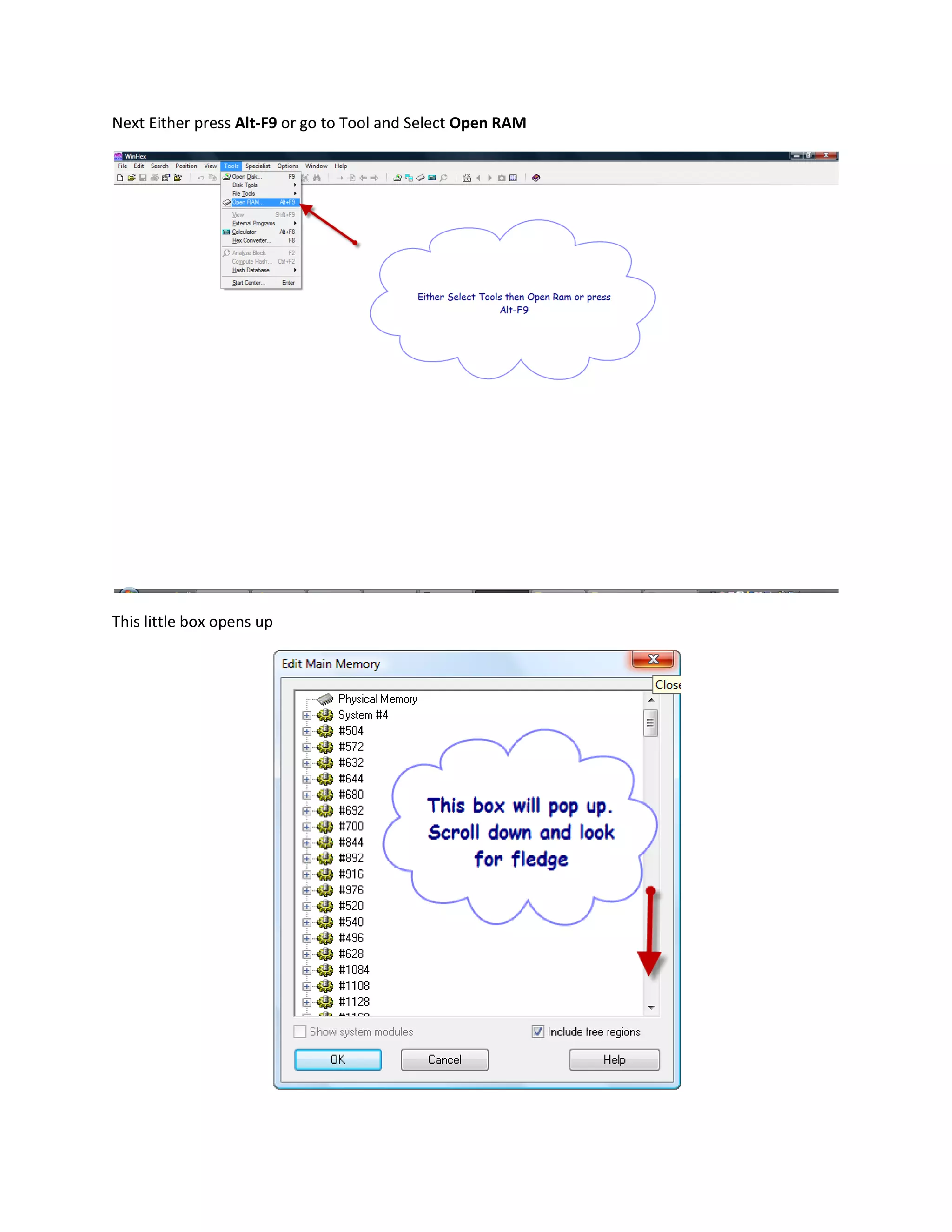 Next Either press Alt-F9 or go to Tool and Select Open RAM




This little box opens up
 