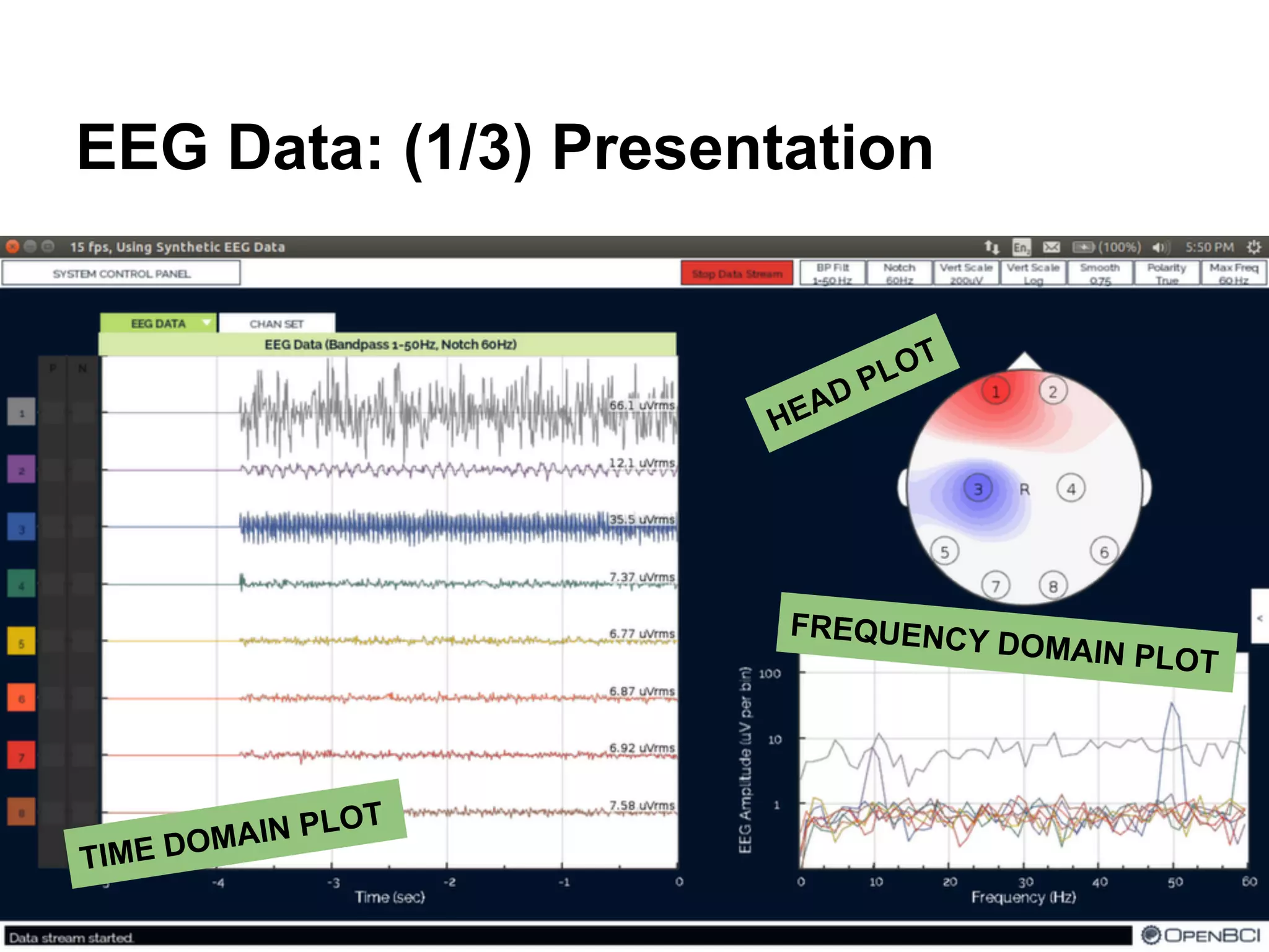 EEG Data: (1/3) Presentation
TIME DOMAIN PLOT
FREQUENCY DOMAIN PLOT
HEAD PLOT
 