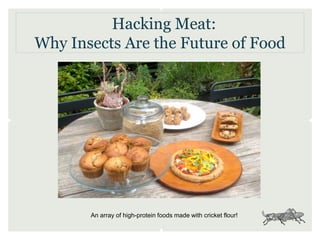 Hacking Meat:
Why Insects Are the Future of Food
An array of high-protein foods made with cricket flour!
 