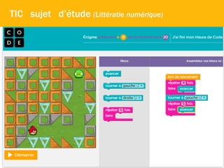 +TIC sujet d’étude (Littératie numérique)
 