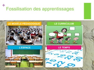 +
Fossilisation des apprentissages
LE MODÈLE PÉDAGOGIQUE LE CURRICULUM
L’ESPACE LE TEMPS
 