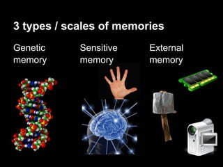 3 types / scales of memories
Genetic     Sensitive    External
memory      memory       memory
 