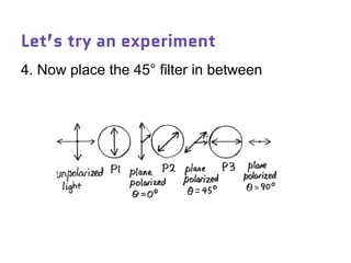 Let’s try an experiment
4. Now place the 45° filter in between
 