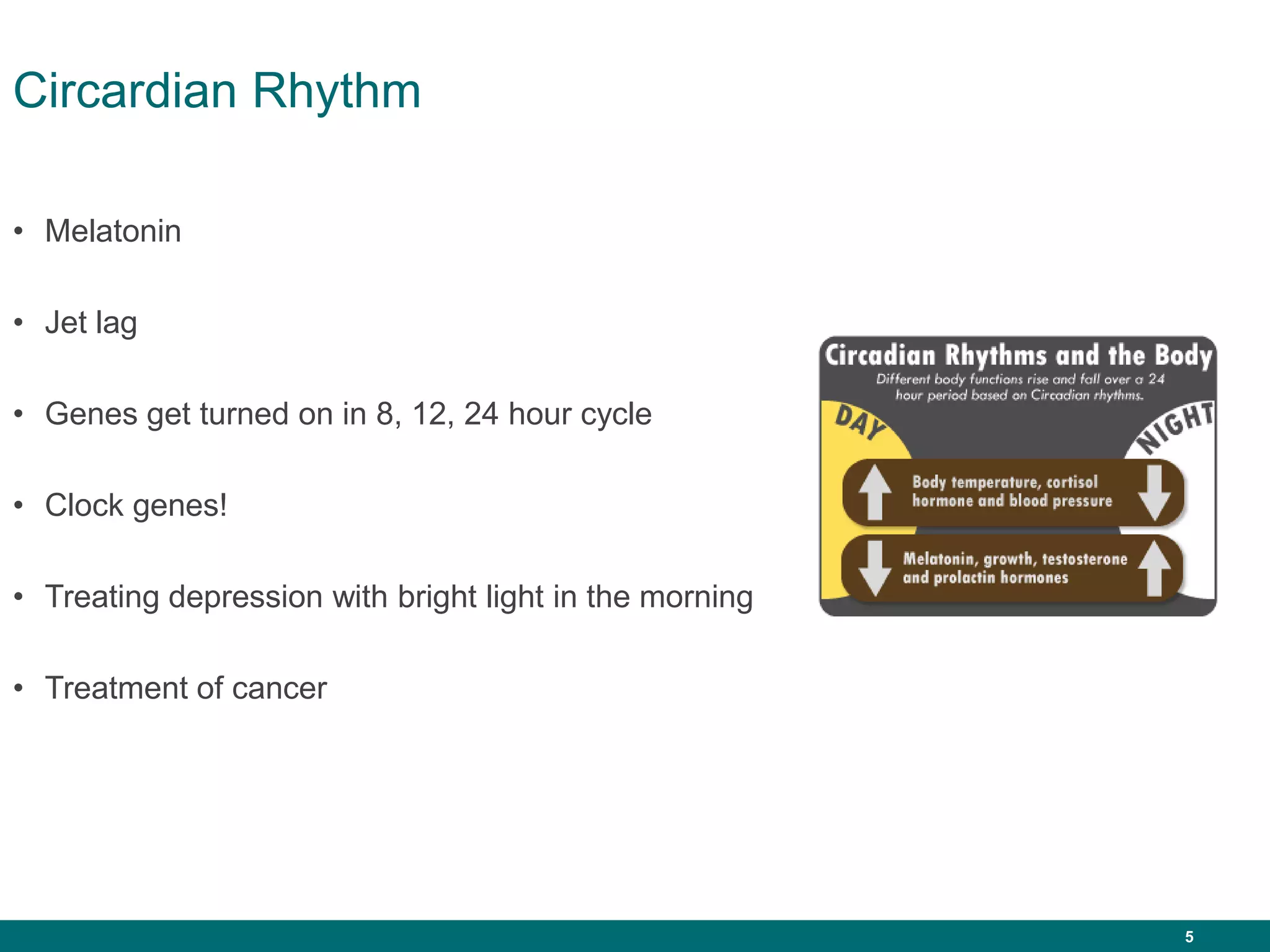 5
Circardian Rhythm
• Melatonin
• Jet lag
• Genes get turned on in 8, 12, 24 hour cycle
• Clock genes!
• Treating depression with bright light in the morning
• Treatment of cancer
 