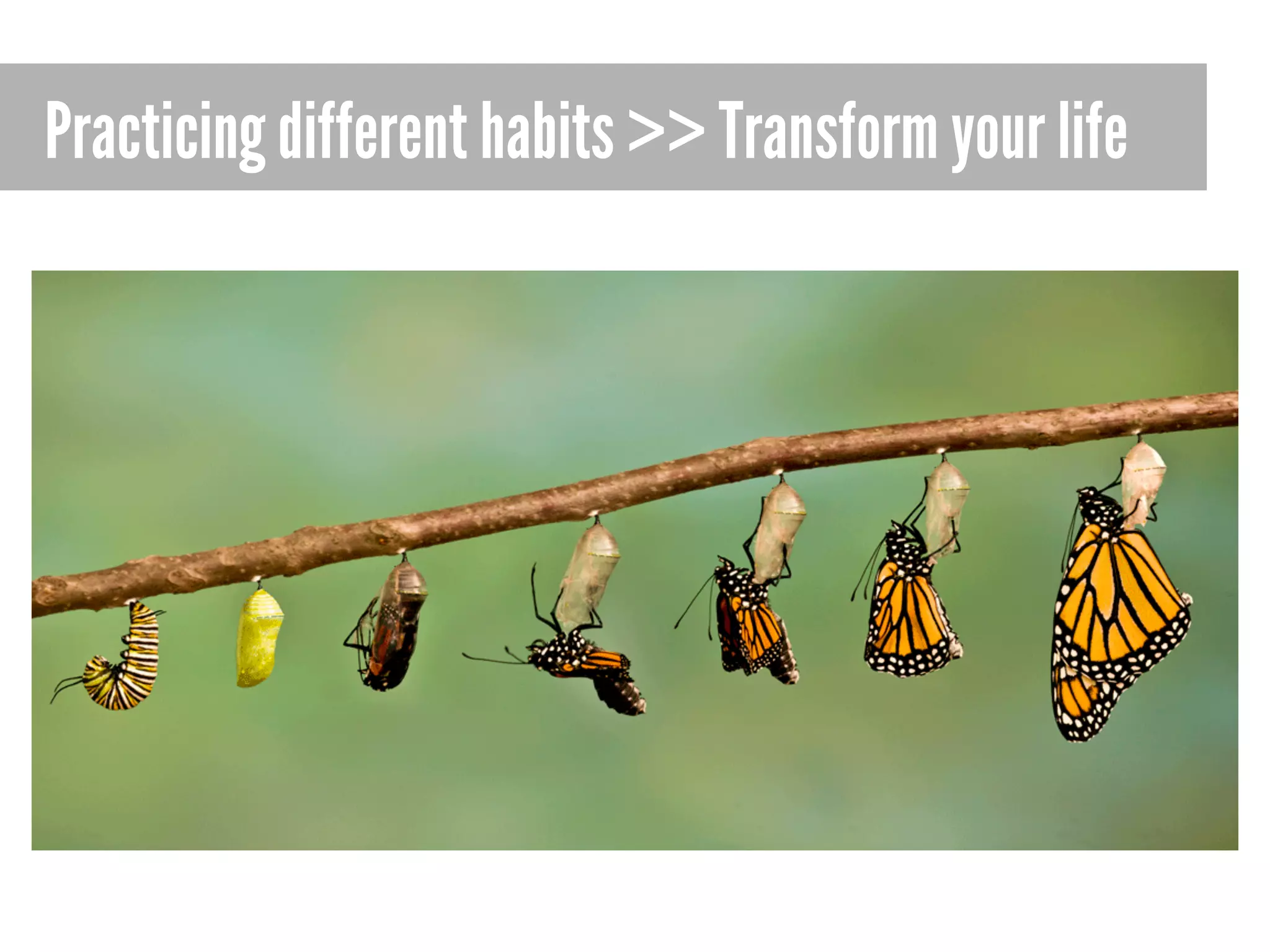 Practicing different habits >> Transform your life

 